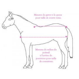 couverture polaire cheval