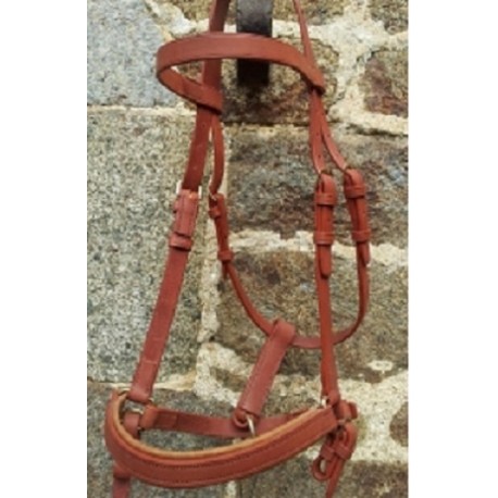 Ancien Licol Ou Bride De Cheval En Cuir - Équitation Vintage - Déco Ou Usage