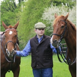 Cheval et chien de chasse